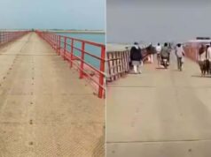 661 करोड़ की सड़क परियोजना में बड़ी उपलब्धि, पुल से शुरू हुआ आवागमन