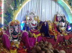 बस्तर में गोंचा महापर्व की धूम, अंतिम चरण में पहुंची तैयारियां