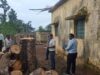 अवैध पेड़ कटाई मामले में सख्ती, प्रधान पाठक सस्पेंड, अध्यक्ष-सचिव के खिलाफ FIR के निर्देश