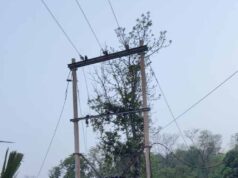 दशकों का इंतजार खत्म, नारायणपुर के वनांचल गांव ‘नियद नेल्लानार योजना’ से हुए रोशन