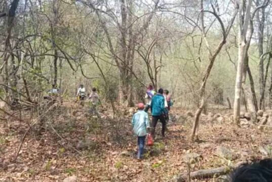 छत्तीसगढ़ में सनसनी: जंगल में मिला 9वीं के छात्र का शव, चेहरे पर चोट के गहरे निशान