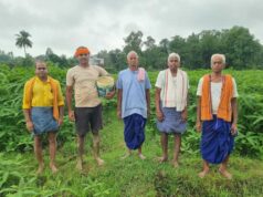 10 एकड़ में सामूहिक खेती कर किसान बदल रहे समृद्धि की तस्वीर, 175 से 180 रुपये किलो बिक रहा जवांफूल चावल
