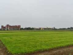 विलंबित मानसून के बीच धान किसानों के लिए आईसीएआर-एनआईबीएसएम की विशेष सलाह