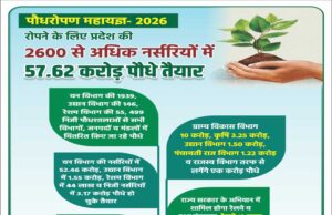 वन विभाग की 1939, उद्यान विभाग की 146, रेशम विभाग की 55, 499 निजी पौधशालाओं से सभी विभागों, जनपदों व मंडलों में वितरित किए जा रहे पौधे