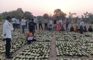 डिजिटल एवं पारदर्शी व्यवस्था से सीधे खातों में अंतरित हुई प्रोत्साहन पारिश्रमिक राशि, वनवासी परिवारों की आजीविका और ग्रामीण अर्थव्यवस्था को मिला नया संबल