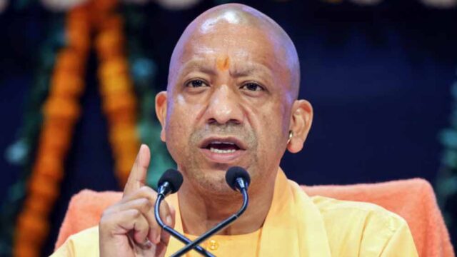 Yogi_5.jpg