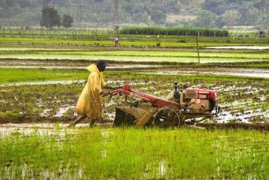 रिकॉर्ड खाद-बीज और ऋण वितरण से मिली नई रफ्तार