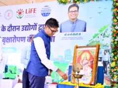 केवल पौधे लगाना नहीं, उन्हें जीवित रखना सबसे बड़ी जिम्मेदारी : मंत्री ओ.पी. चौधरी