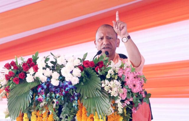 yOGI_02-4.jpg