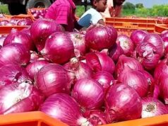रांची में प्याज महंगा, नई फसल की आवक में देरी से कीमतें बढ़ीं
