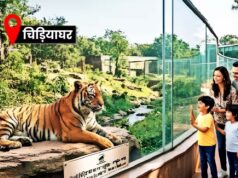 60 करोड़ से बनेगा दिल्ली जू का नया एंट्रेंस प्लाजा, बस यात्रियों को भी मिलेगी सीधी एंट्री