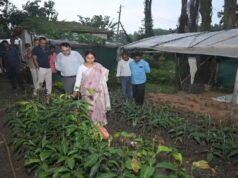झारखंड में चाय-कॉफी खेती की शुरुआत, डेमोटांड फार्म बनेगा कृषि मॉडल