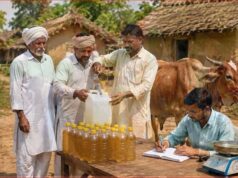 ग्रामीण अर्थव्यवस्था को बढ़ावा देने की पहल, यूपी में 10 रुपये लीटर खरीदा जाएगा गोमूत्र