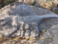 खैरागढ़ में सहेजी गई 230 साल पुरानी लिथोग्राफी, जर्मनी से आए पत्थरों पर छात्रों को मिल रही ट्रेनिंग