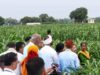 अम्बिकापुर के किसानों को मिली बड़ी मदद, राष्ट्रीय खाद्य सुरक्षा एवं पोषण मिशन से बढ़ा आत्मविश्वास