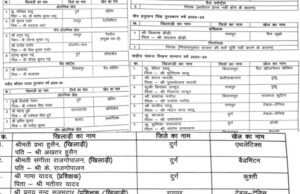 राज्य शासन द्वारा खेल अलंकरणों के लिए चयनित खिलाड़ियों की सूची जारी