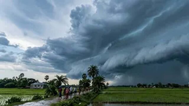 rain_5-4.jpg