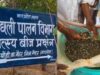 मैहर के पोड़ी केंद्र में किसानों की भीड़, 53 लाख से ज्यादा मछली के बीज बिके; 2027 तक 2.50 करोड़ का लक्ष्य