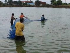 खेती के साथ मछली पालन से बढ़ी किसानों की आय, प्रधानमंत्री मत्स्य संपदा योजना बनी बदलाव की मिसाल
