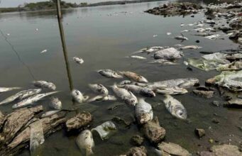 सुपर अल-नीनो की दस्तक से बढ़ेगा गर्मी का कहर? रिपोर्ट ने भारत को लेकर चेताया