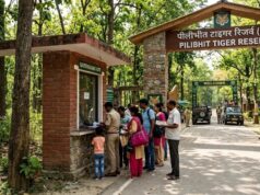 टाइगर रिजर्व में बढ़े टिकट के दाम, विदेशी पर्यटकों को अब देने होंगे 1000 रुपये
