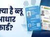 बाल आधार कब बनता है और कब कराना होता है अपडेट? नीले-सफेद आधार का पूरा अंतर जानें