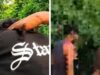समस्तीपुर के बाद मधेपुरा वीडियो पर भी पुलिस की सफाई, छेड़खानी की घटना से इनकार
