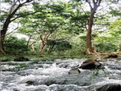 साउथ रिज फेज-2 में 400 हेक्टेयर जमीन, एलजी की मंजूरी का इंतजार
