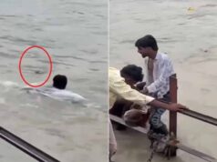 छत्तीसगढ़ में बड़ा हादसा टला! ओवरफ्लो पुल पर बहने लगी बस, पुलिस ने 70 यात्रियों को बचाया