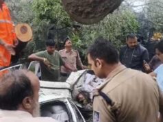 इंदौर में पेड़ गिरने से कार में फंसी बुजुर्ग की मौत, डेढ़ घंटे बाद निकाला गया शव