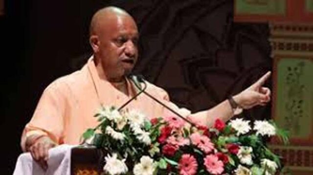 cm_yogi_2-2.jpg