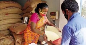 किसानों के लिए जरूरी खबर: समर्थन मूल्य पर धान-ज्वार-बाजरा उपार्जन हेतु 10 अक्टूबर तक कराएं पंजीयन