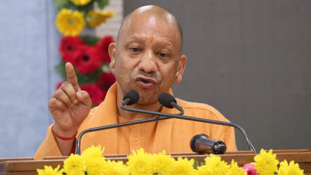 yogi_133_6-4.jpg