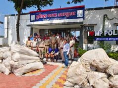 अलीराजपुर में नशे के अवैध कारोबार पर पुलिस का बड़ा प्रहार, 20 क्विंटल से ज्यादा गांजे के पौधे जब्त
