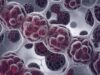 Cancer Treatment: कैंसर के इलाज में आएगी तेजी! नई रेडियोथेरेपी तकनीक से ट्यूमर पर रहेगी पल-पल नजर