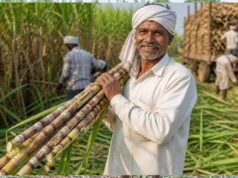 गन्ना किसानों के लिए खुशखबरी, छत्तीसगढ़ में 2025-26 सत्र से ₹425 प्रति क्विंटल भुगतान