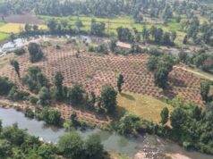 वर्षा जल संरक्षण से बदलेगी गांव की सूरत, ग्राम दर्री में 24 लाख लीटर से ज्यादा पानी सहेजने की तैयारी