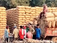 CG Dhan Kharidi: किसानों को ₹3100 प्रति क्विंटल मिलेंगे दाम, 360 नए खरीदी केंद्र भी खुलेंगे; टोकन प्रक्रिया जानें