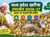 किसानों के लिए जरूरी खबर, सोयाबीन बेचने के लिए 3 से 17 अक्टूबर तक कराएं पंजीयन