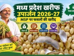 किसानों के लिए जरूरी खबर, सोयाबीन बेचने के लिए 3 से 17 अक्टूबर तक कराएं पंजीयन