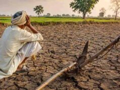 मध्य प्रदेश में बारिश की कमी से बढ़ी चिंता, 25 जिलों में सामान्य बरसात; 11 में 80% से भी कम