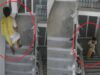 प्रेमानंद के शिष्य दीपक की मौत का नया CCTV, कथित तौर पर खुद को घायल करने के बाद चौथी मंजिल पहुंचा