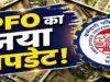 PF निकालना होगा आसान! EPFO ला रहा UPI सुविधा, खाते में 25% बैलेंस रखना होगा जरूरी