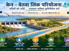 केन-बेतवा परियोजना से पन्ना टाइगर रिजर्व को खतरा? हाईकोर्ट ने केंद्र से मांगी पर्यावरणीय रिपोर्ट
