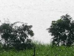 मध्यप्रदेश में मौसम बना जानलेवा, एक साल में 537 मौतें; बढ़ती गर्मी और कंक्रीट से बढ़ी चिंता