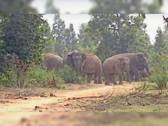 Chhattisgarh_News_05-2-18.jpg