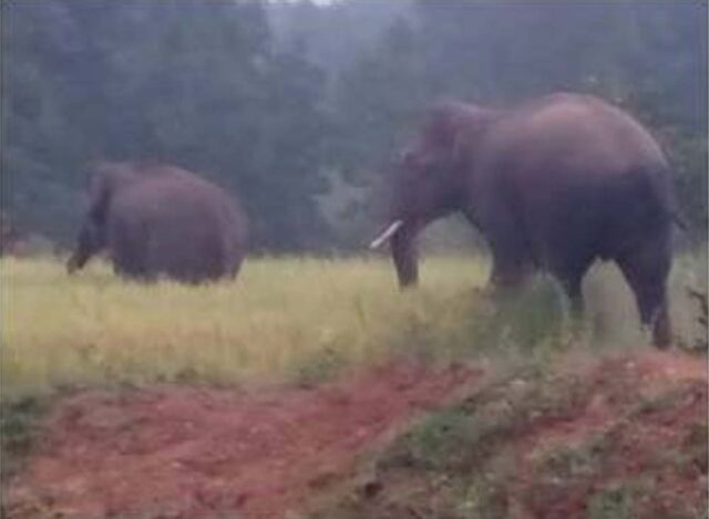 Chhattisgarh_News_08-3-11.jpg