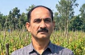 उन्नत टमाटर की खेती से शाहिद की मेहनत लाई रंग, 2 एकड़ में कमाए 1.20 लाख रुपये