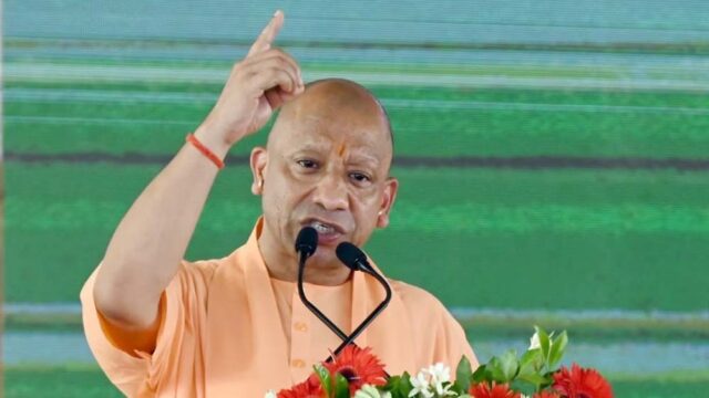 cm_yogi_11-4.jpg