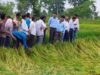 मुख्यमंत्री के सुशासन संकल्प के अनुरूप प्रभावित किसानों को राहत पहुंचाने जिला प्रशासन की त्वरित पहल